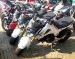 Về Việt Nam Honda MSX125 có giá gần 100 triệu