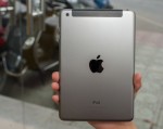 iPad mini màu mới xuất hiện tại Việt Nam