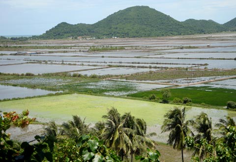 Bức tranh quê hương. Ảnh: Nguyễn Vy.